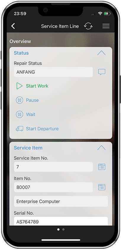 Work on the Service Order